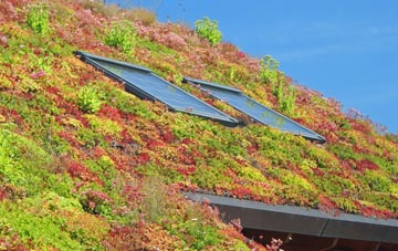 Tollard Farnham living roof systems