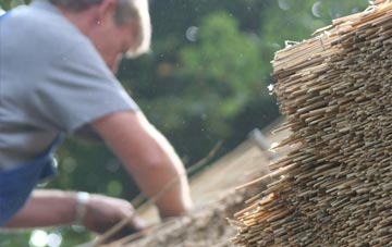 professional Tollard Farnham thatchers