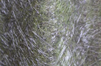 Tollard Farnham fibreglass roof work