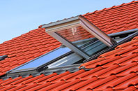 Tollard Farnham roof window